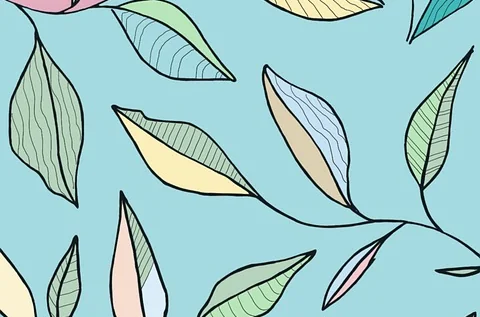 feuilles
